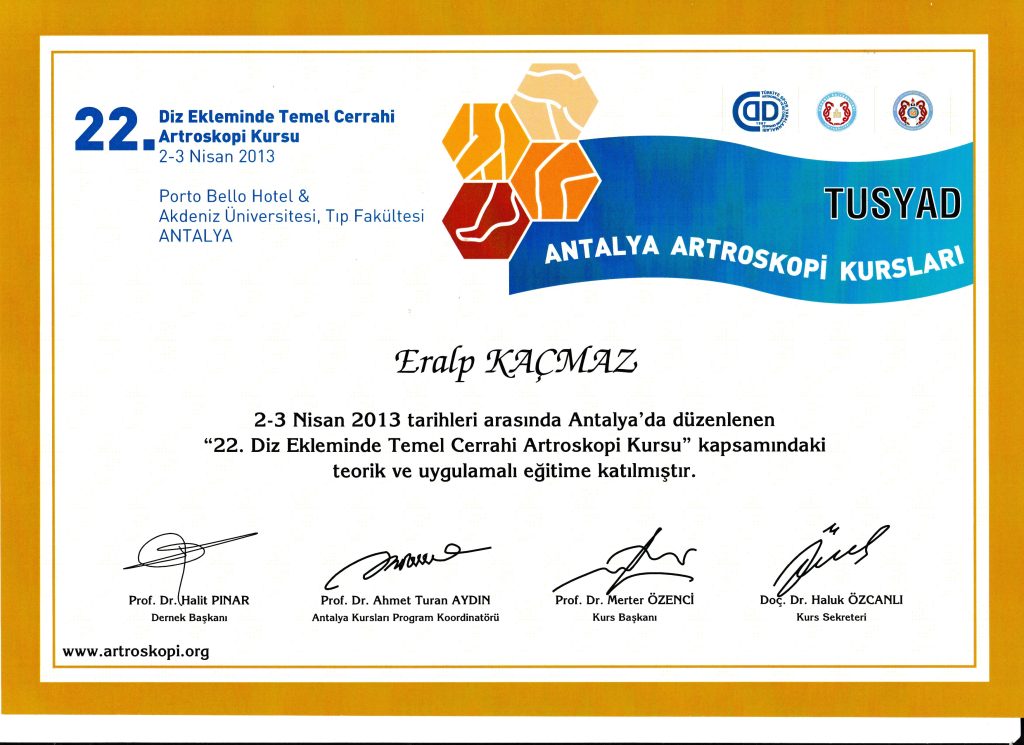 22. temel diz artroskopi kursu