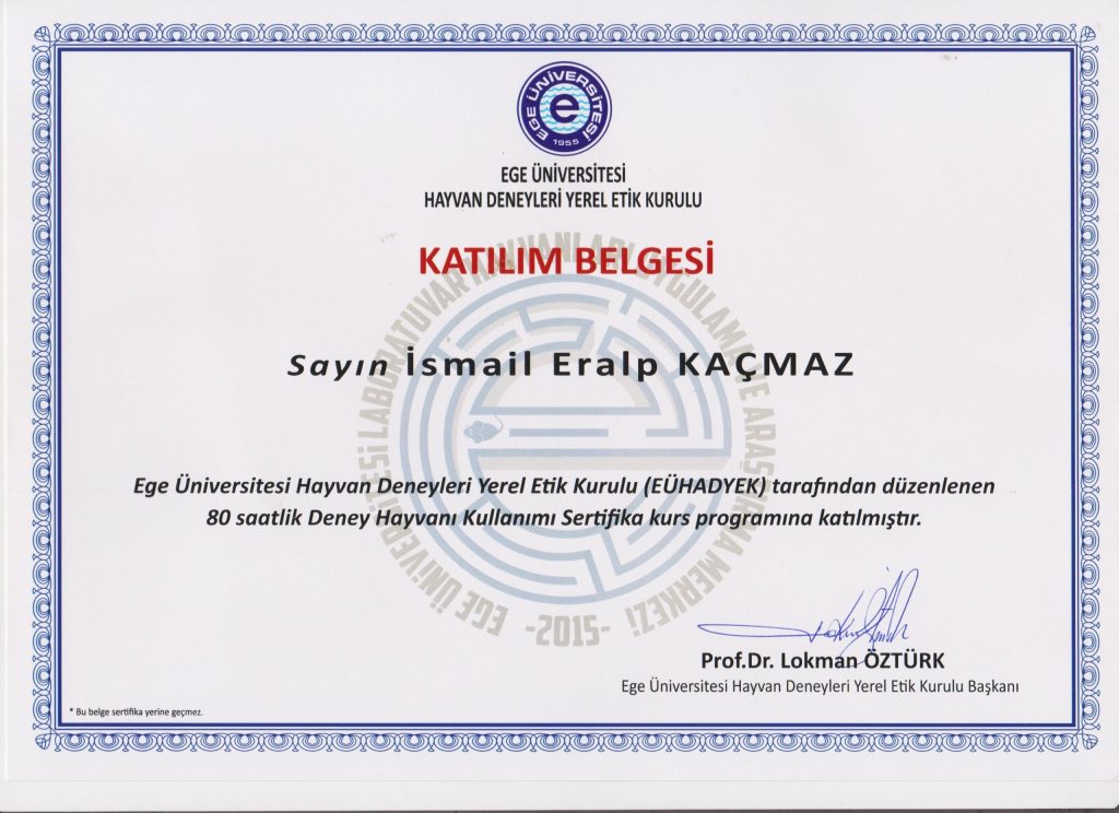 HADYEK katilim sertifikasi.jpg scaled 1